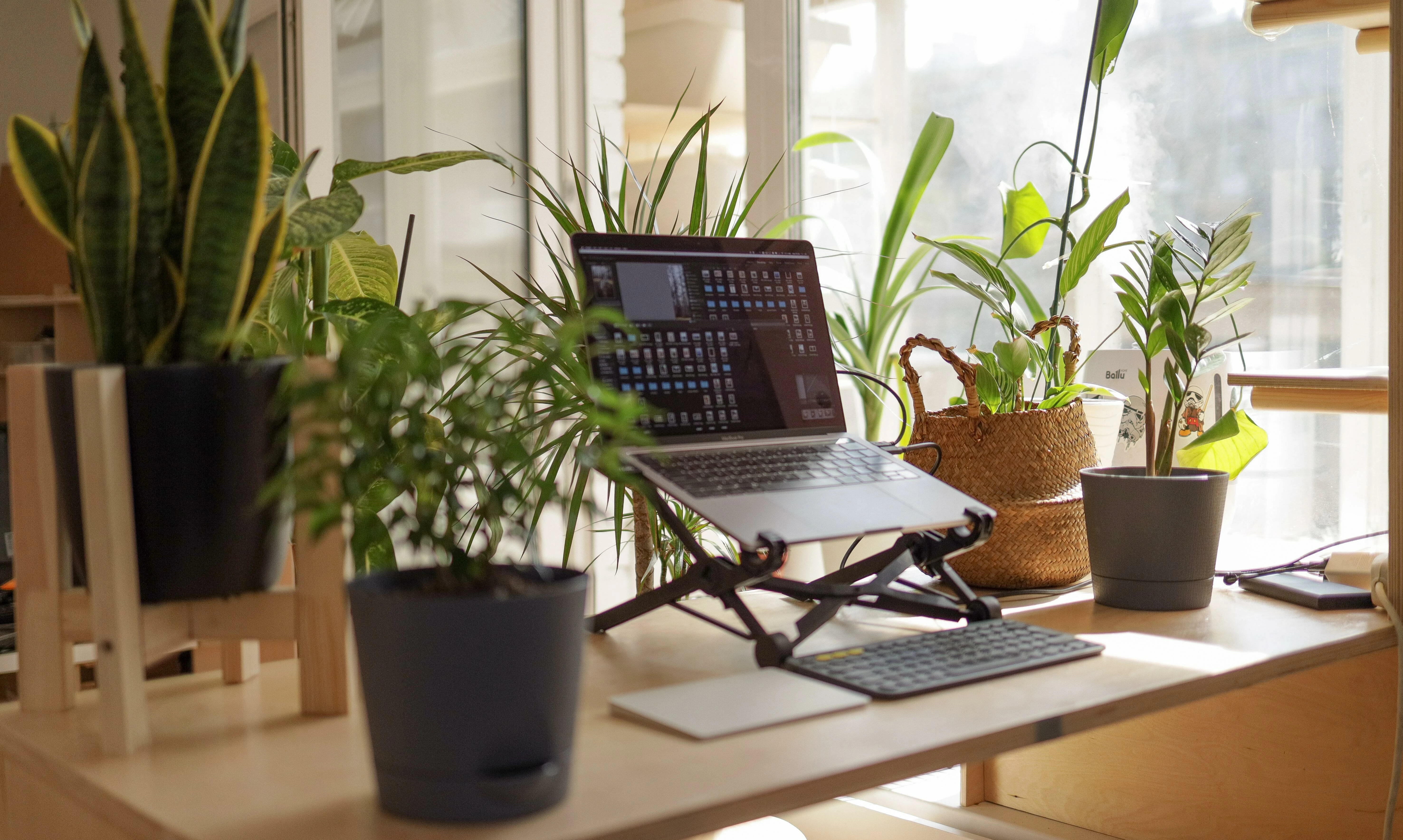 Virtual Customer Advisory Meeting - Real-Time Sync from Gainsight to SFDC