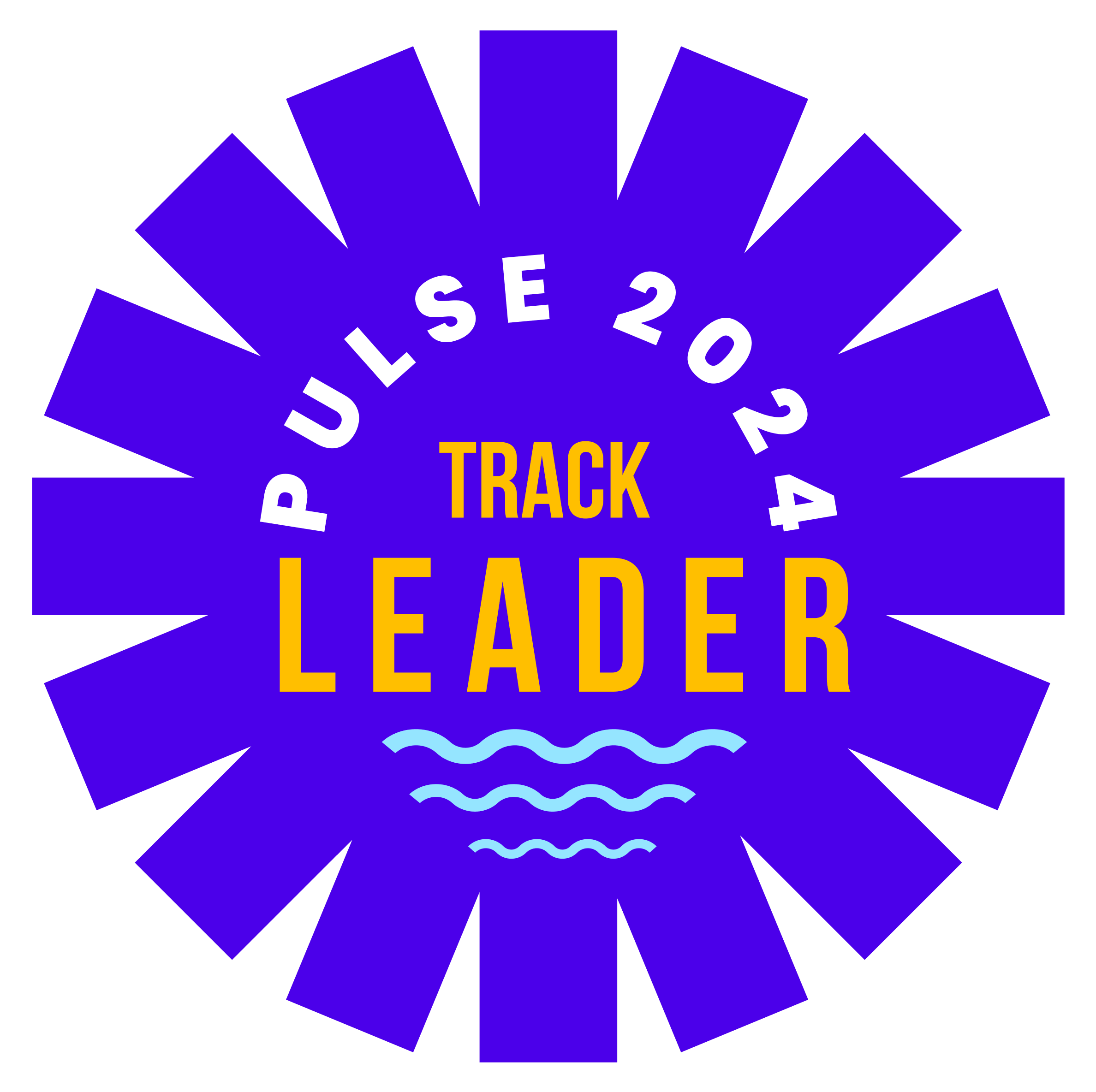 Pulse 2024 Track Leader