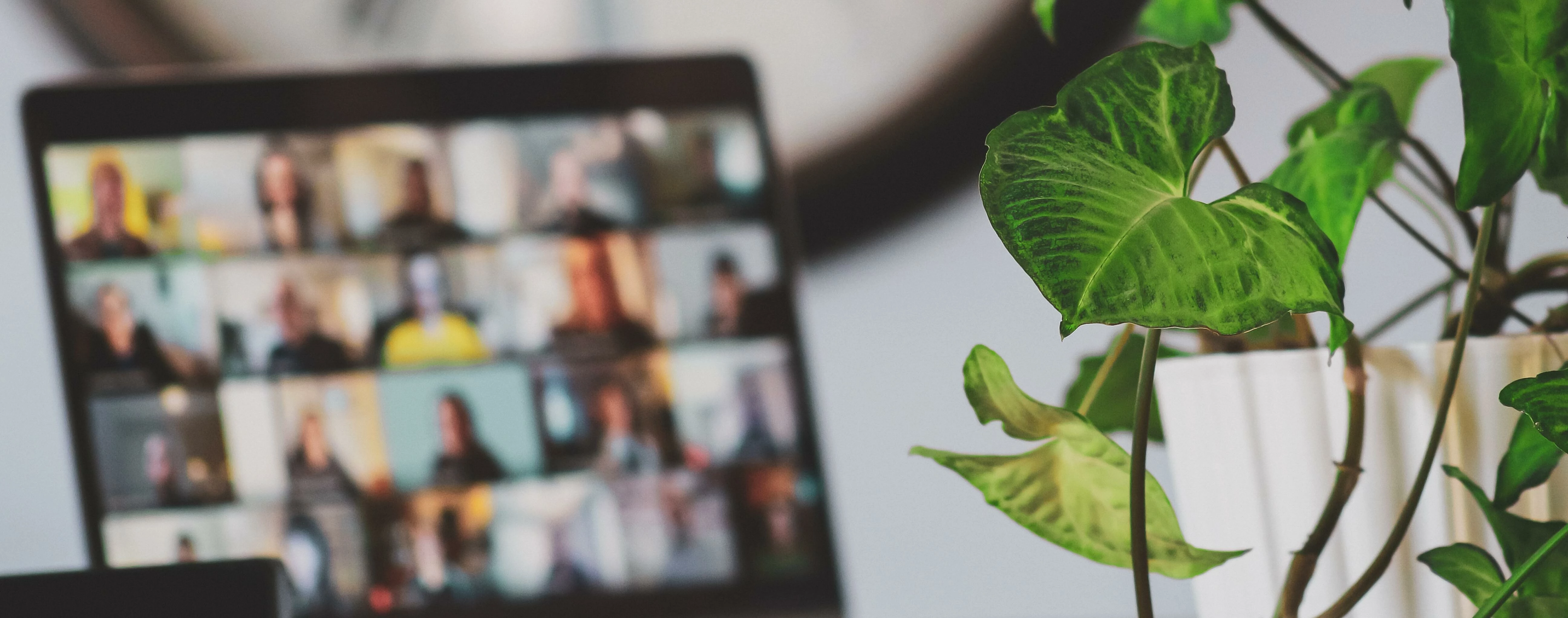 Virtual Customer Advisory Meeting -Timeline Salesforce Integration Experience