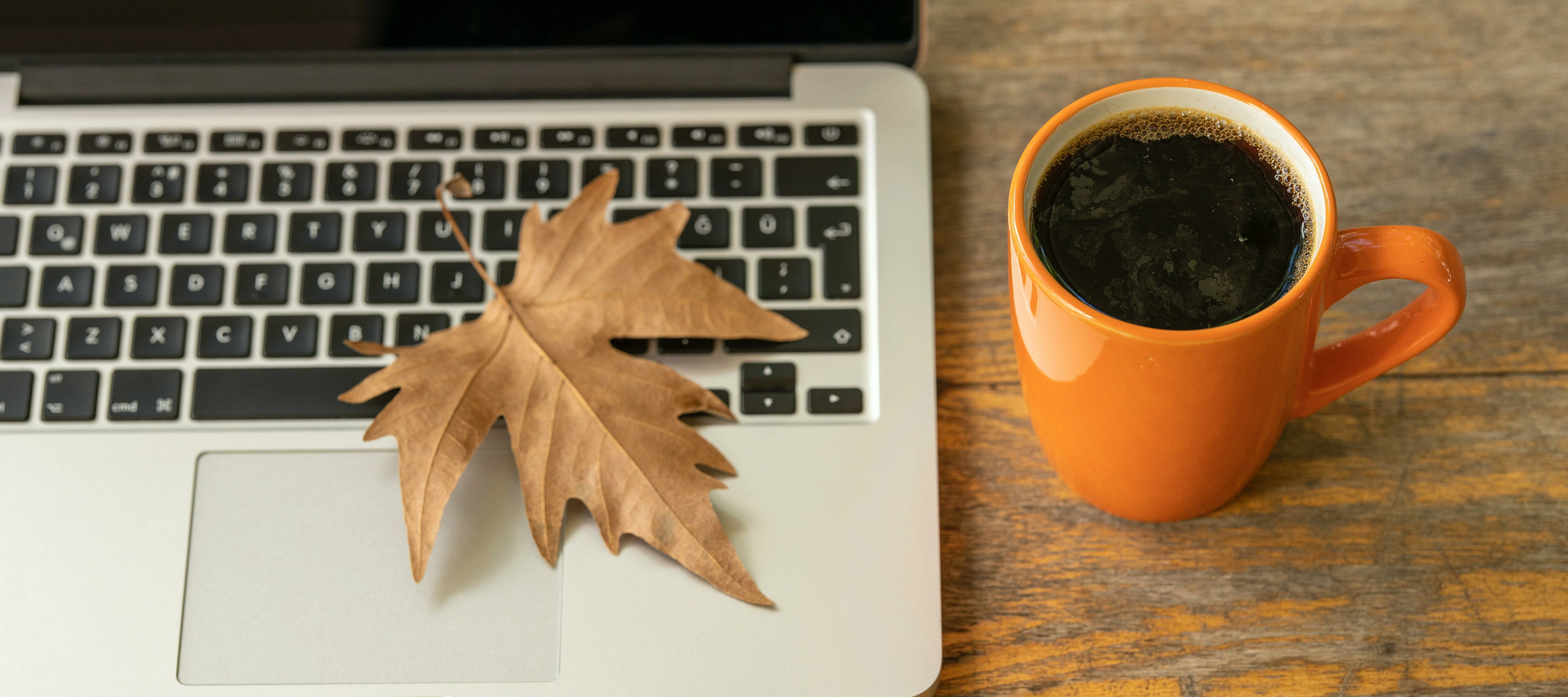 Virtual Customer Advisory Meeting - Feedback and Input on Draft requirements & Designs of Scorecard Optimizer