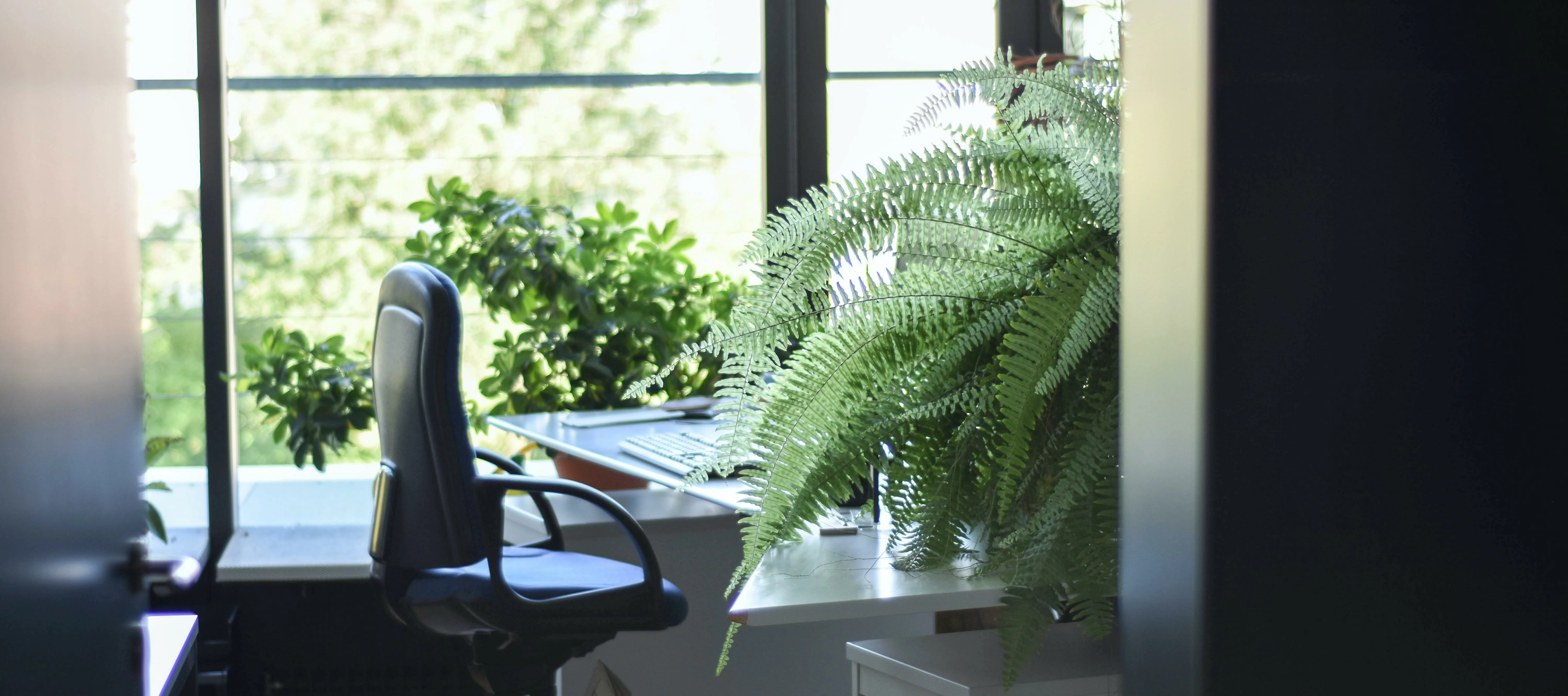 Virtual Customer Advisory Meeting -  Timeline - Tagging a timeline activity!