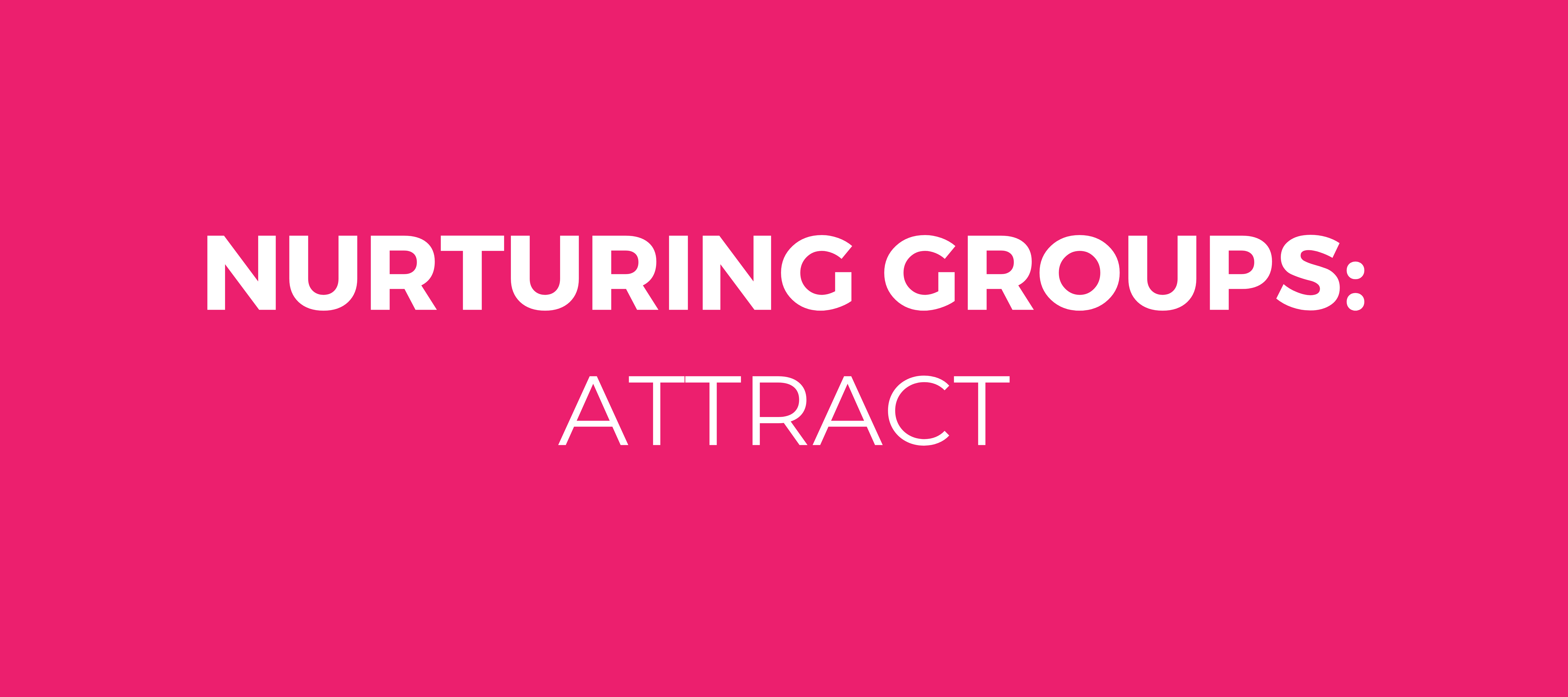 Nurturing groups - attracting the right Group Champion