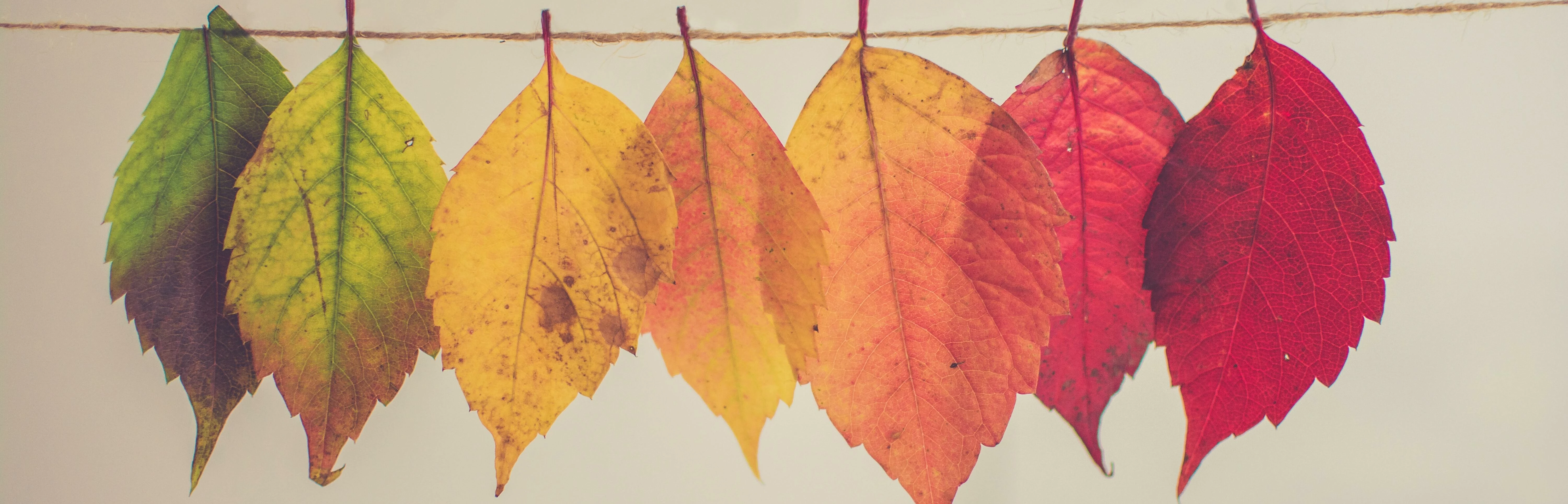 Gainsight's September Releases are LIVE!