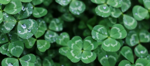 CS v6.12 SFDC Edition is Live + Happy St. Patrick's Day!
