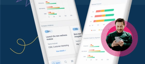How Can I participate in the Gainsight Beta Program?