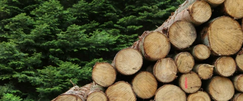 Virtual Customer Advisory - Object Activity logs