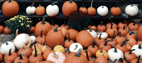 Gainsight's October/November Releases are LIVE!