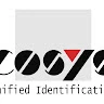 cosys