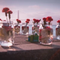 Christopher Williams