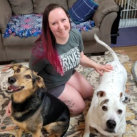 RoverRehabDogTraining