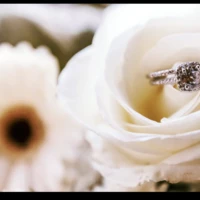 The Gables and Gardens Team