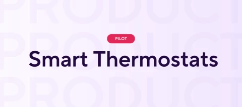 Google Nest public pilot