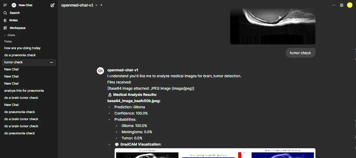 Building Trustworthy AI for Healthcare: Meet the Team Behind OpenMed