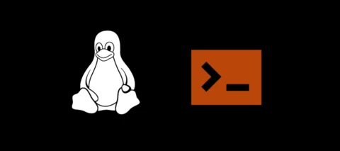 We surveyed Data Scientists and ITDMs about Linux and CLI. Here's what they said...