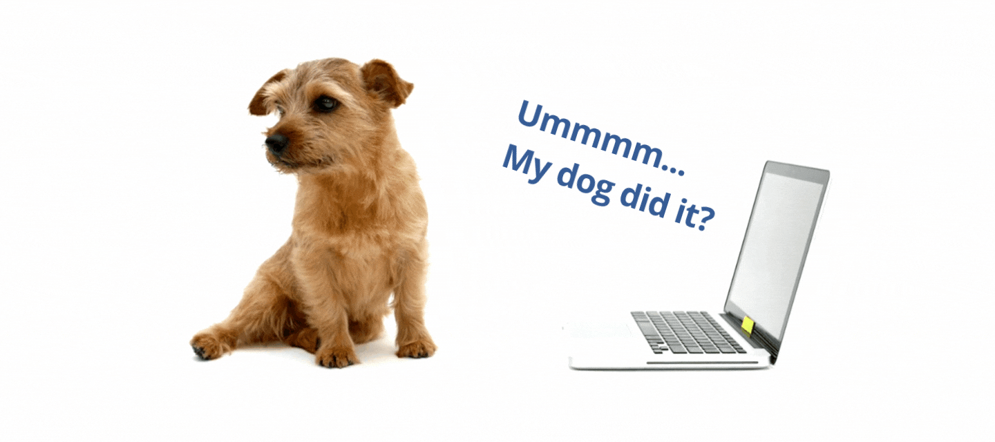 Let's hear it! Your favorite excuse 😁