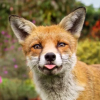 MChristian 45075b1 austinmn