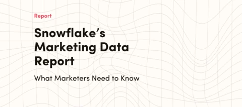 Snowflake Just Dropped the Hard Truth About AI, Privacy, and Data, Are You Ready?