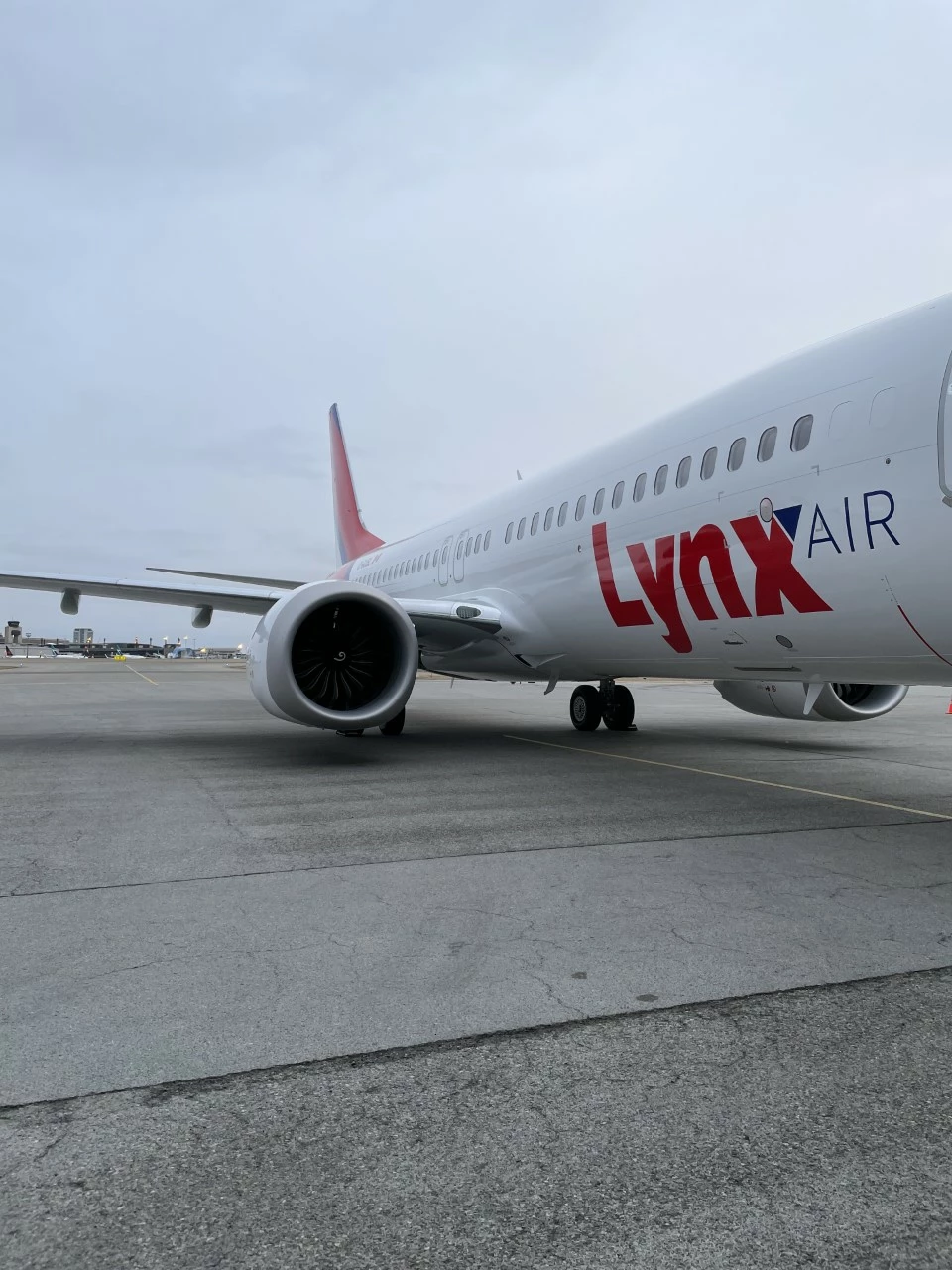 Lynx