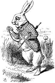 whiterabbit