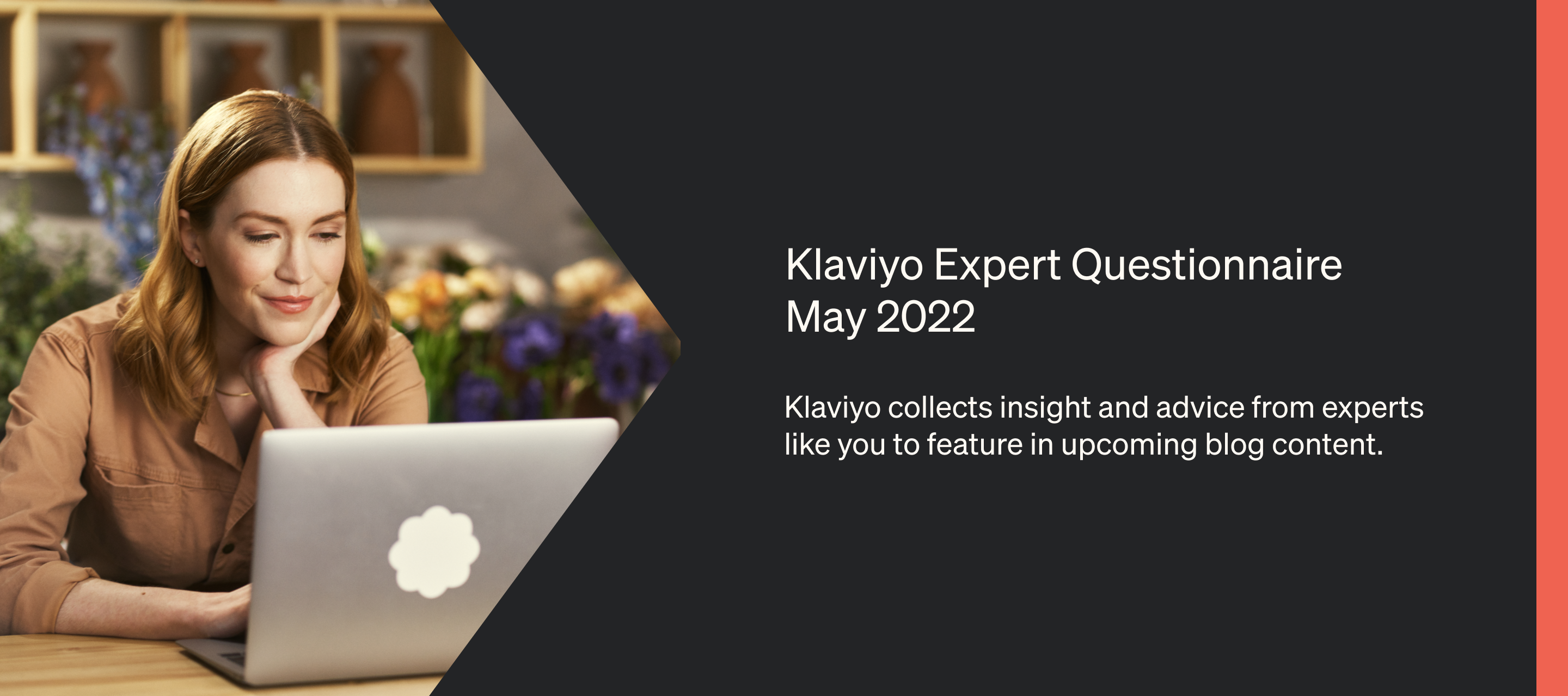 Klaviyo Expert Questionnaire May 2022