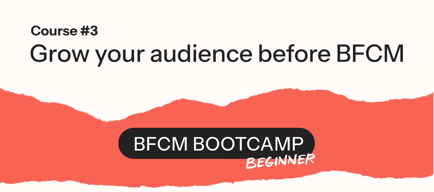 Module 3: Grow your audience before BFCM