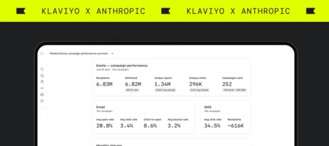 Klaviyo x Anthropic