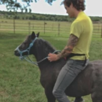 Luukee