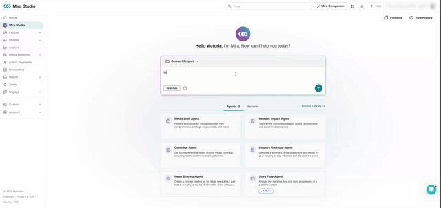 Animation showing an audit prompt being entered in Mira Studio and findings being returned.