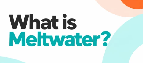 What is Meltwater, and why does your team use it?