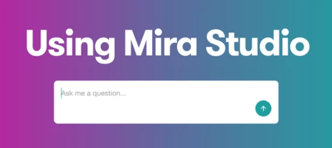 Mira Studio: New User Guide