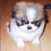 DestroyerOfWorlds5000