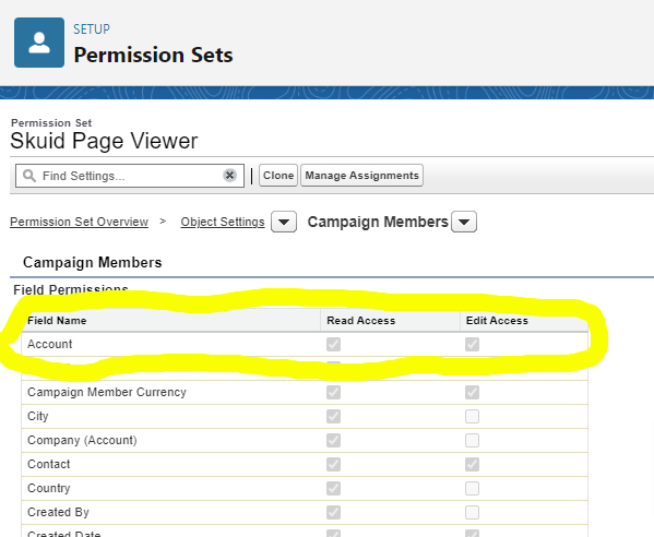 Permission-Sets-Salesforce-Skuid-Page-Viewer