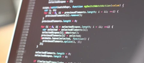 Calm Terminology, Actions, and Dependencies