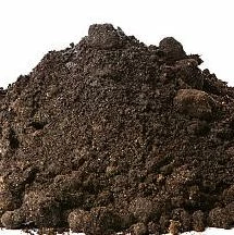 Dirt
