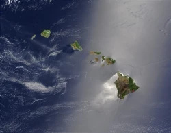 Koa