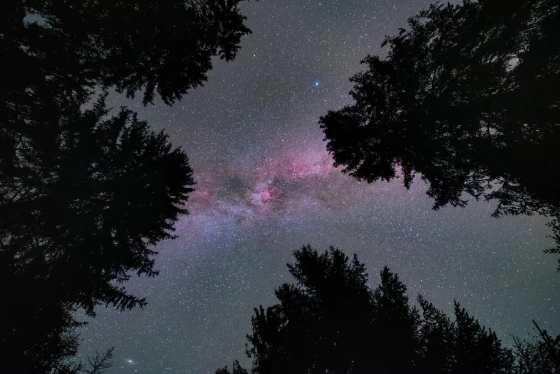 FutureOak