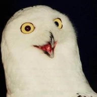 SleepyOwl