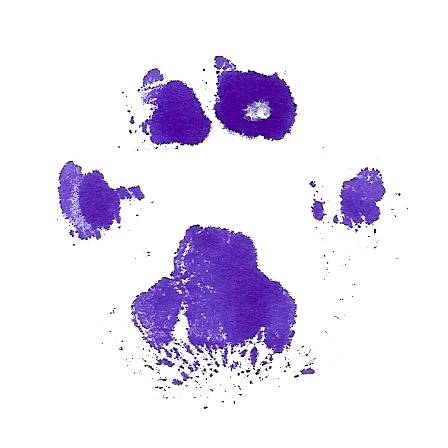 volte