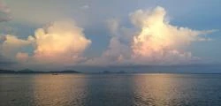 Roaming_Bob