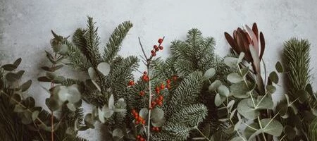 Happy Holidays from the Community Team