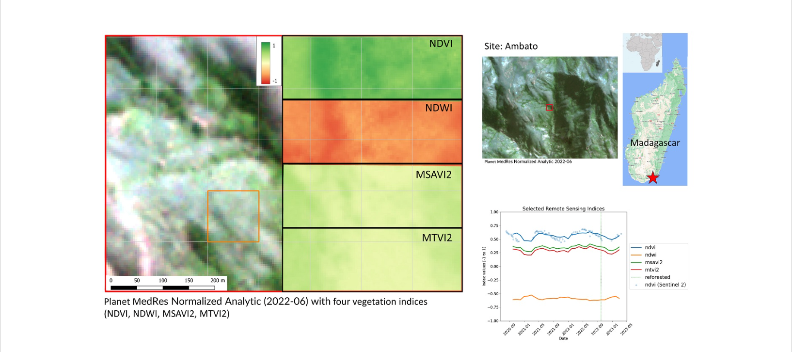 Using NICFI Satellite Data to Help Monitor Tree Health and Stress in Reforestation Projects