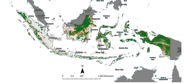 Analyzing Forest Cover in Indonesia with Planet-NICFI and Sentinel-2 Data