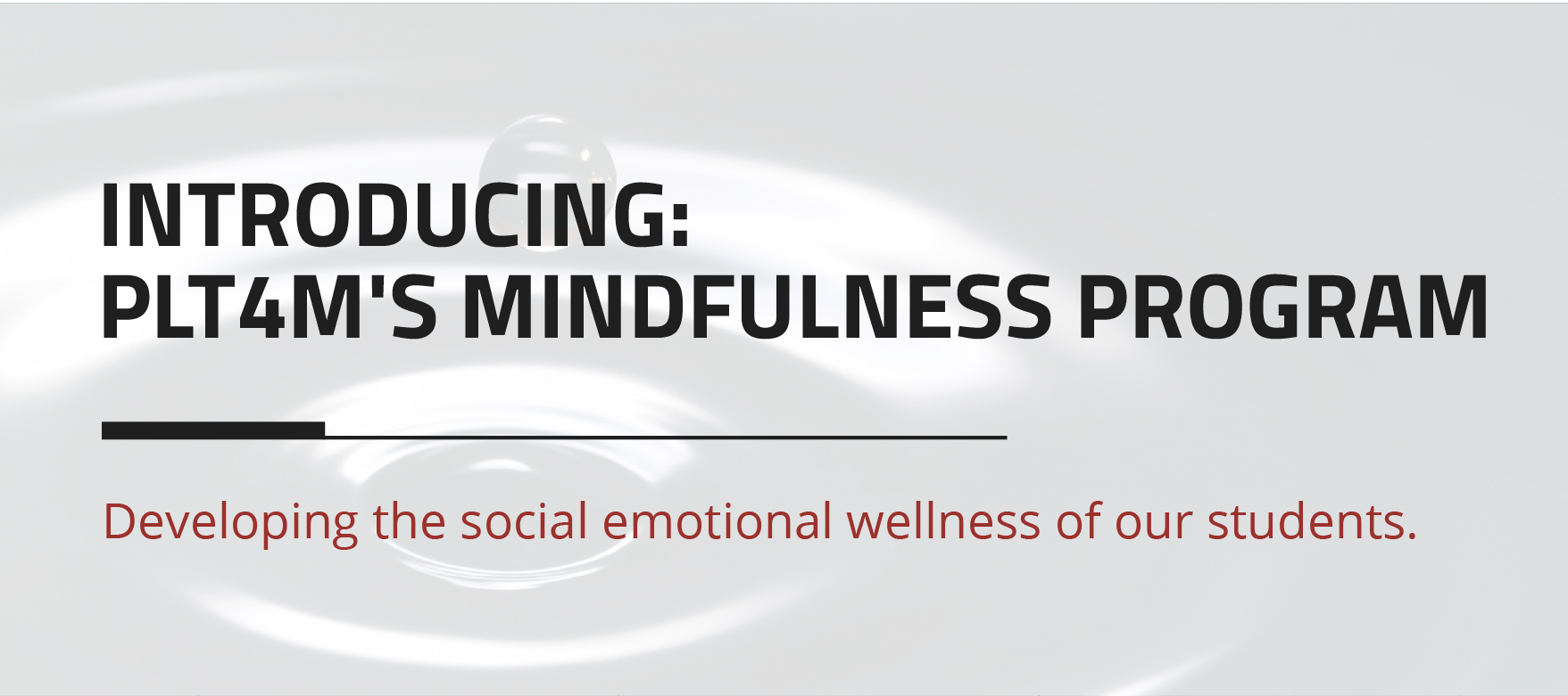 New Program Release! Intro to Mindfulness