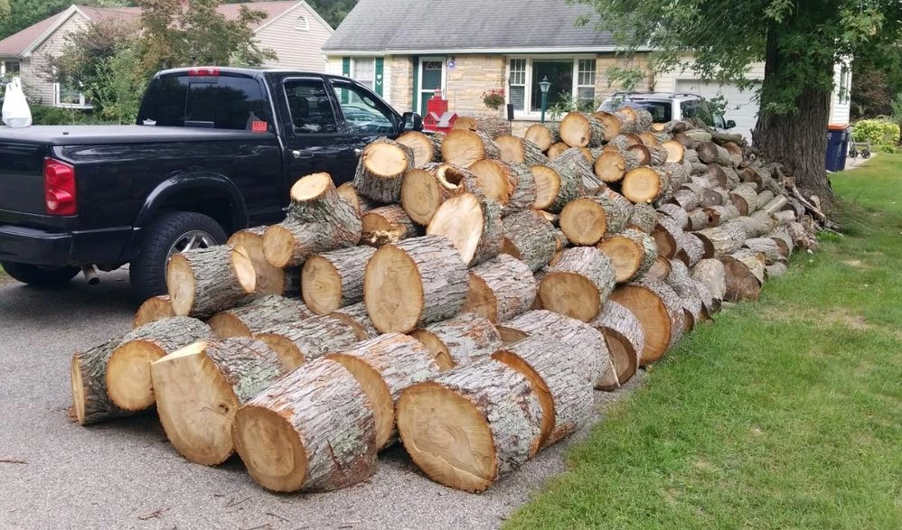 wood_pile.jpeg