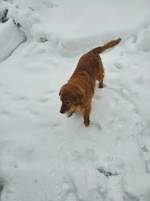 20230314_080235.jpg 20230314_080235.jpg