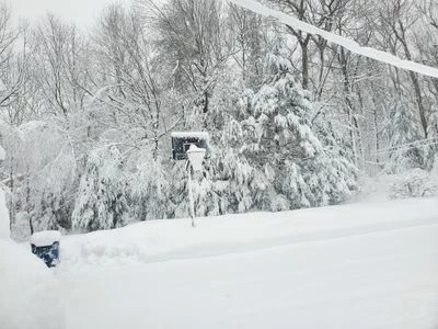 20230314_080225.jpg 20230314_080225.jpg