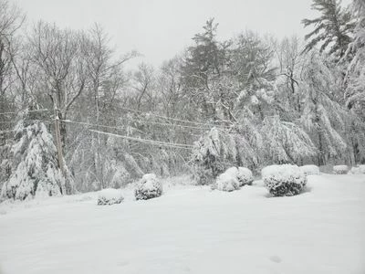 20230314_080203.jpg 20230314_080203.jpg