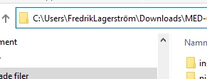flagerstrom_1-1678353818567.png