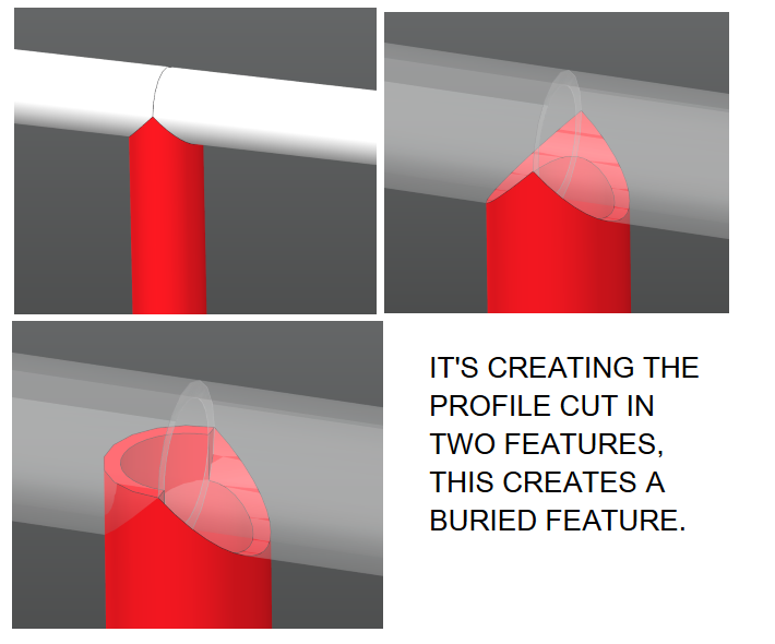 PROFILE.PNG