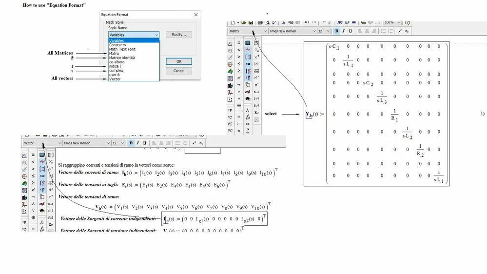 How to use -Equation Format-.jpg